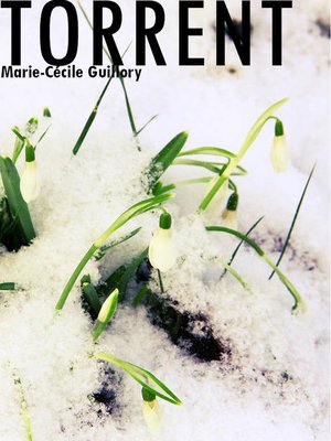 cover image of TORRENT